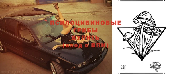 стаф Медвежьегорск