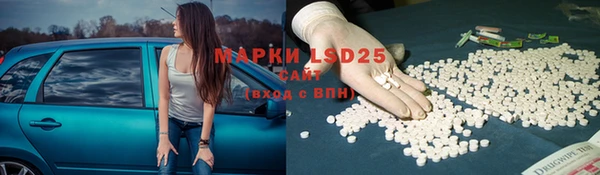 спайс Мегион