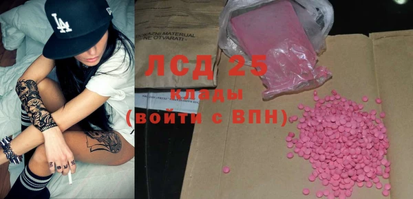 стаф Медногорск