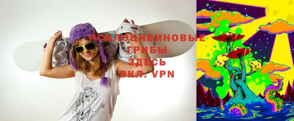 стаф Медвежьегорск