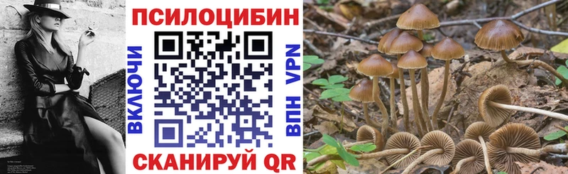Псилоцибиновые грибы прущие грибы Шумерля