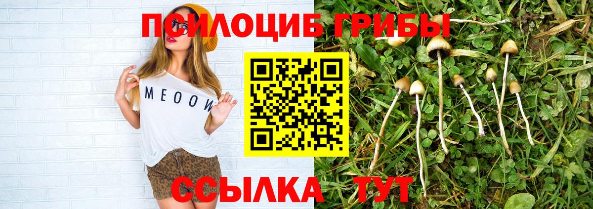 Псилоцибиновые грибы Magic Shrooms Шумерля
