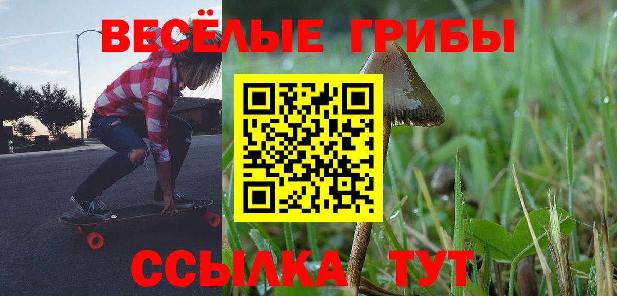 Шумерля  Псилоцибиновые грибы мицелий  Вход с VPN 